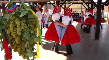 Lužická chasa prošla obcí s obřím hroznem