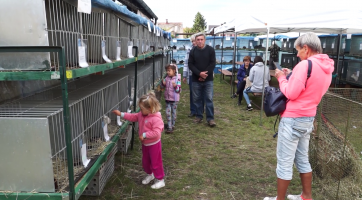 Lužice zažily Den kopce i výstavu králíků