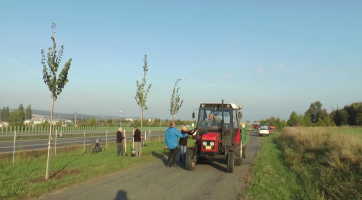 Účastníci akce Sázíme budoucnost vysadili přes půl stovky lip a javorů