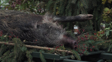 Ve městě se poprvé uskutečnila myslivecká mše