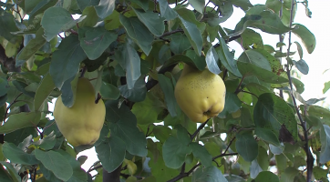 Magazín Uherské Hradiště 30. 10. 2021