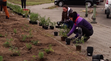 Po růžích a levandulích vysadí tradiční odrůdy stromů