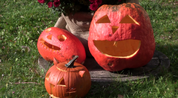 V hlavní roli dýně. V infocentru mají novou podzimní výstavu