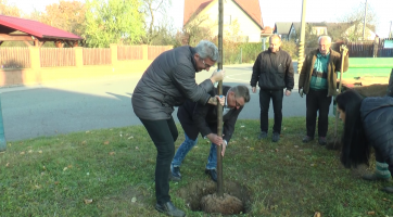Lípa bude připomínat výročí první zmínky o městě
