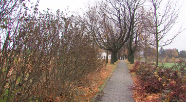 U hvězdárny vyroste za pár let ovocný sad