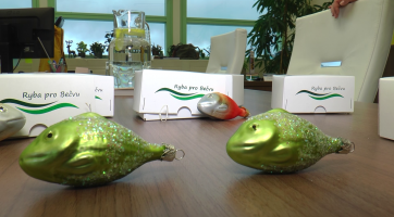 Vánoční ozdoby pomohou vrátit život do řeky Bečvy