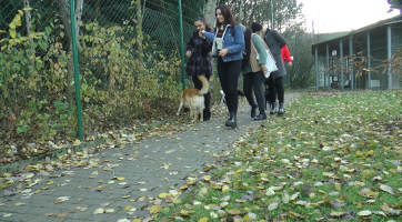 Studenti Univerzity Tomáše Bati se zapojili do Dne laskavosti 