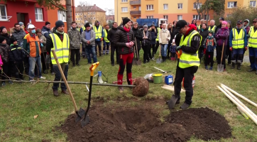 Při komunitní výsadbě po tornádu zasadili lidé 72 nových stromů