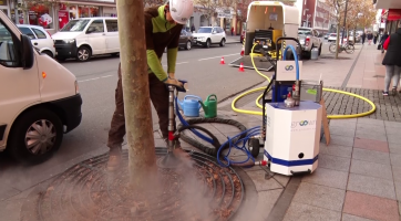 Platany ošetřili speciální injektáží