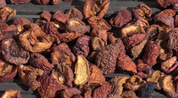 Výstava Někdo to rád sušené