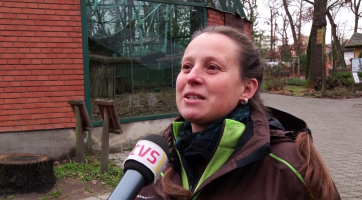 Chovatelka zoo soutěží o cestu za gorilami