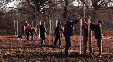 U Moravy vysadili ovocný sad