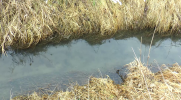 V Chrášťanech vznikne vodní nádrž