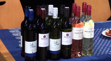 Víno degustovali on-line