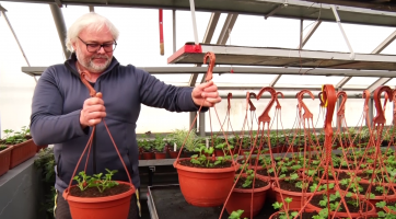 Technické služby se připravují na jarní výsadbu