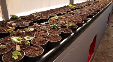 Magazín Zlín/Otrokovice 5. 3. 2022