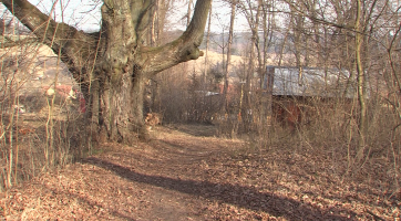 Milan Wichterle daroval Slavičínu zámecký park v Divnicích