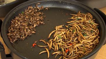 Gastro Brod Festival láká na gurmánské i kulturní zážitky už popáté