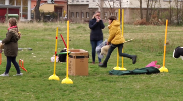 V Holčičárně budou šít, v Hobby Horse jezdit přes překážky