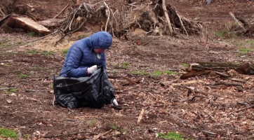 Z lesa zmizely plechy i skelná vata
