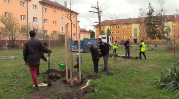 Obyvatelé Bažantnice znovu sázeli stromy