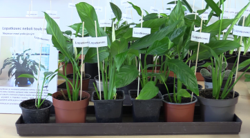 Magazín Kyjov 23. 4. 2022