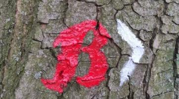 Vydejte se po stopách firmy Baťa! V Otrokovicích otevřeli novou turistickou stezku