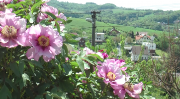 Jedna ze zahrad skrývá nejkrásnější květy v Evropě