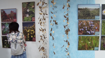 Muzejní noc patřila bylinám