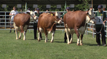 Pět tisíc lidí navštívilo 13. ročník Zemědělské výstavy  
