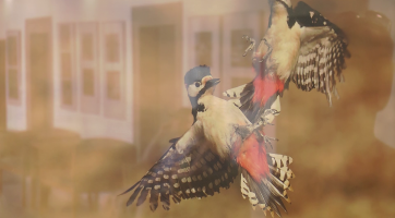 Vernisáž výstavy Týká se to také tebe představila vítěze soutěže