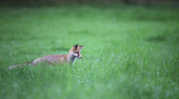 Magazín Zlínský kraj 16. 7. 2022
