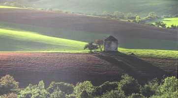 Radniční galerie ukazuje krajinu jižní Moravy