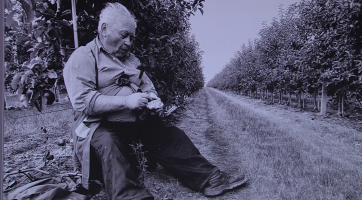 Nejen oceněné fotografie najdete na výstavě Brody v Brodě 