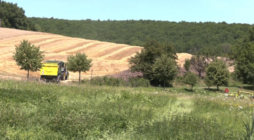  Zadržování vody v krajině mají pomoci řešit nové tůně