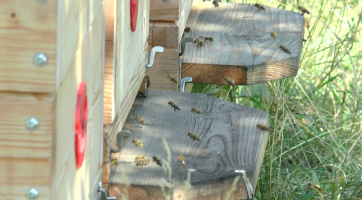 Hasiči zachraňují nejen životy, ale i životní prostředí