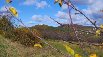 Mikroregion Buchlov vyhlašuje videosoutěž
