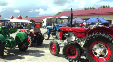 Babí léto zavítalo do Hrádku