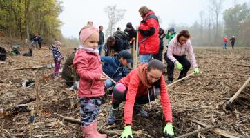 Zaměstnanci krajského úřadu vysadili stovky stromků 