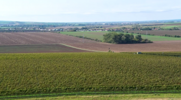 Směna pozemků umožní vytvoření cesty na Radošov