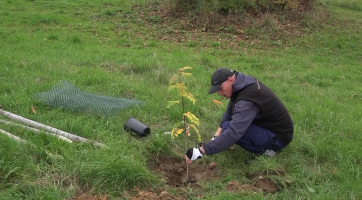 Sad skanzenu Rochus se opět rozrůstá