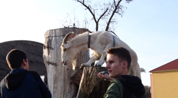 Odpoledne statkářství a řemesel přineslo jízdu na koni i opékání hadů