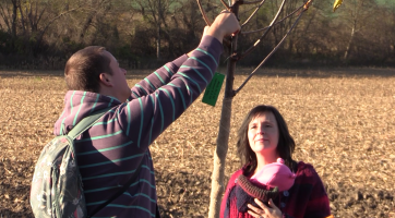 Alej života se rozrostla směrem na Boršov