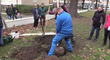 Obyvatelé Bažantnice vysadili další stromy