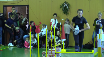 Dívky závodily s koníky na tyči