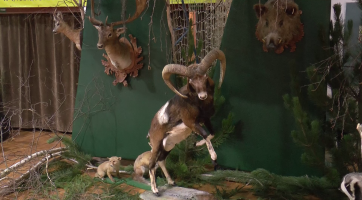 Sportovní halu v Hluku zaplnily stromy a hudba