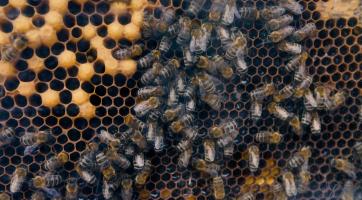 Magazín Zlínský kraj 25. 2. 2023