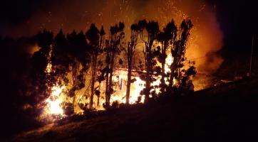 V Jaroslavicích v noci hořel rodinný dům. Jak k požáru došlo, se zatím neví