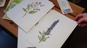 Sbírka má podpořit vydání pohádkového příběhu