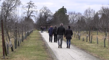 Na Valentýna si ve Veselí můžete projít Cestu pro manžele a zamilované